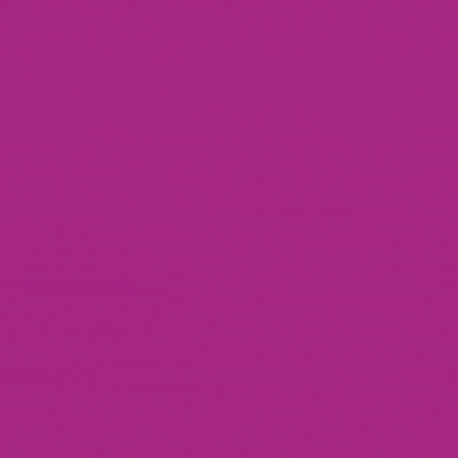 Afilador de Cuchillos Profesional – Precisión, Estilo y Filo en un Solo Paso